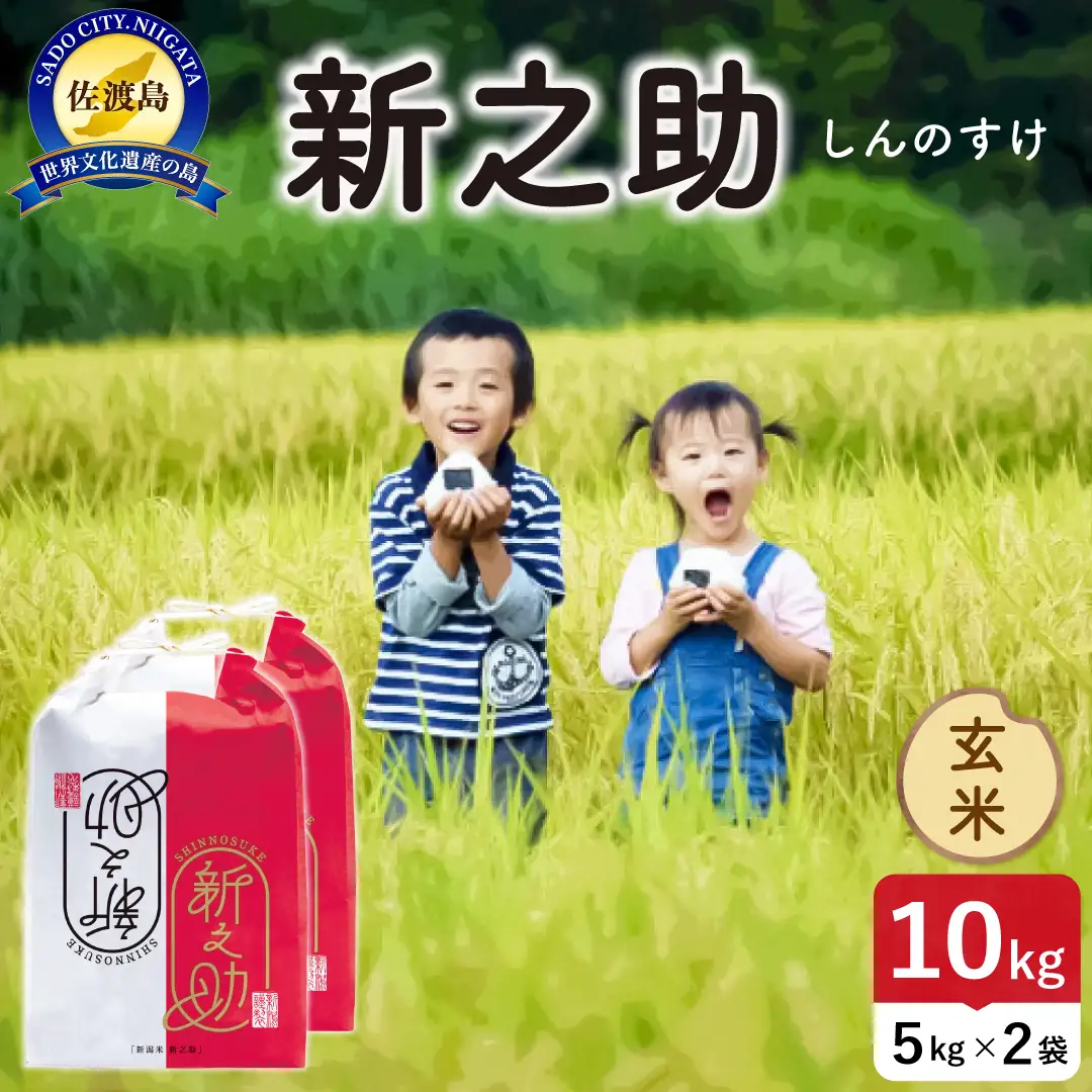 令和8年産 佐渡島産 新之助 玄米10kg