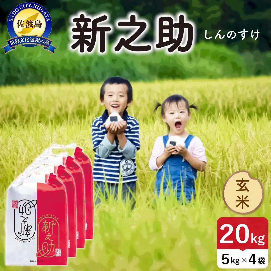 令和8年産 佐渡島産 新之助 玄米20kg 195962-104602