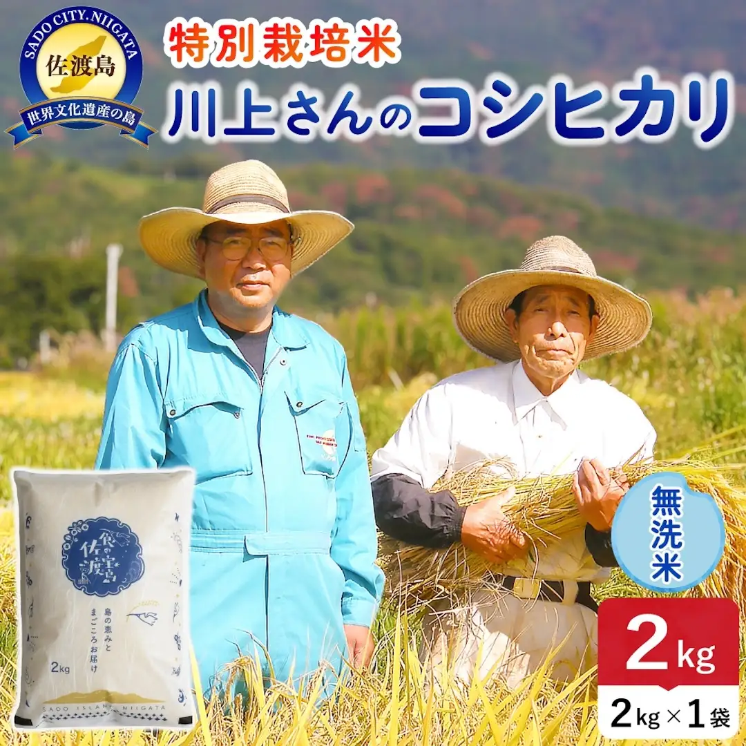 令和8年産 佐渡島産川上さんのコシヒカリ 無洗米2kg 特別栽培米 195962-112102