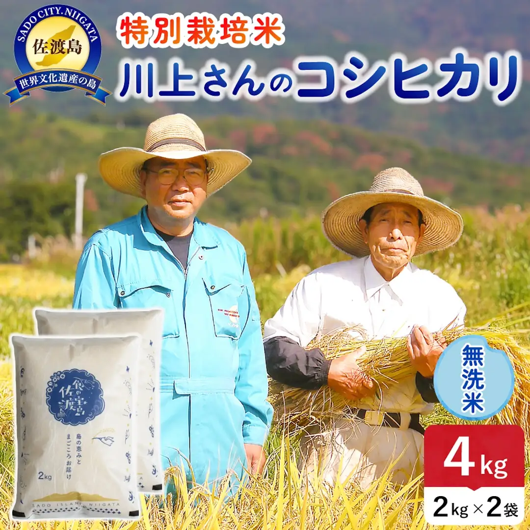 令和8年産 佐渡島産川上さんのコシヒカリ 無洗米4kg 特別栽培米 195962-112202
