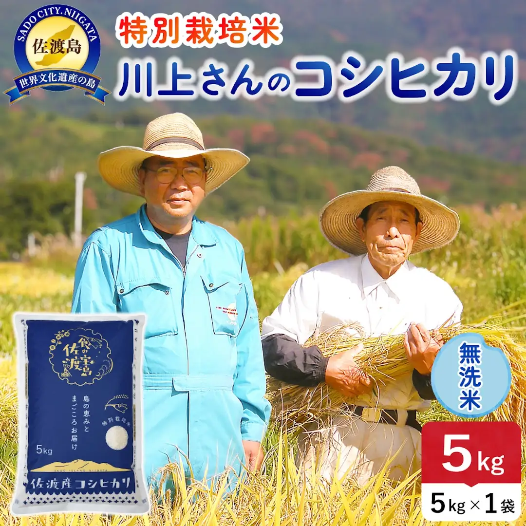 令和8年産 佐渡島産川上さんのコシヒカリ 無洗米5kg 特別栽培米 195962-112302