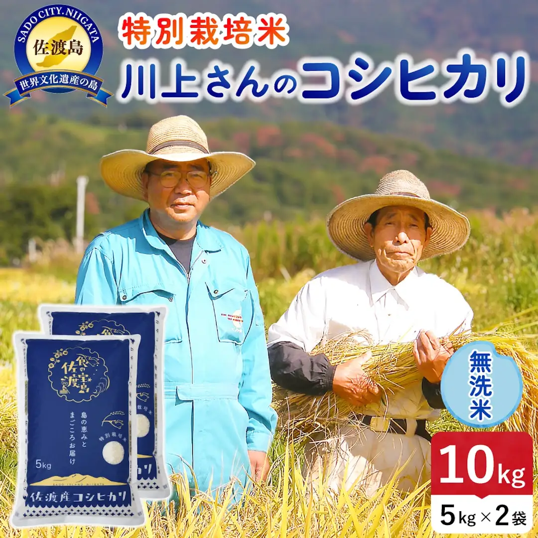 令和8年産 佐渡島産川上さんのコシヒカリ 無洗米10kg 特別栽培米 195962-112402