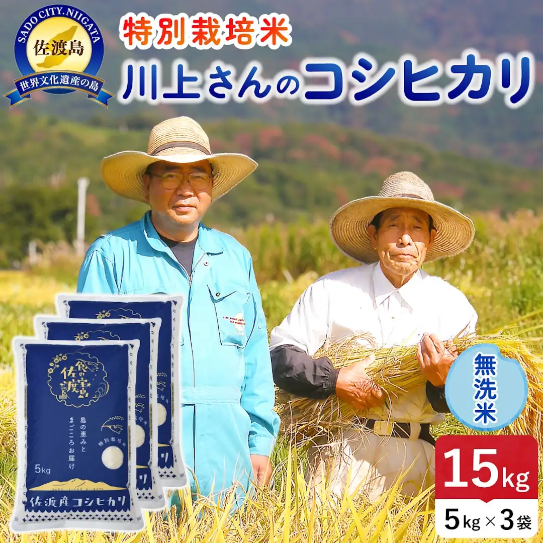 令和8年産 佐渡島産川上さんのコシヒカリ 無洗米15kg 特別栽培米 195962-112502