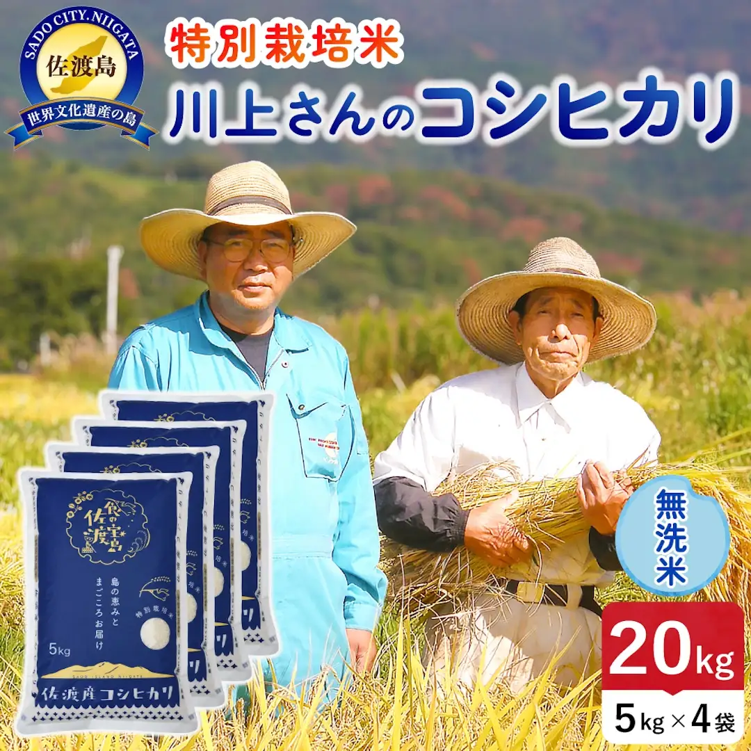 令和8年産 佐渡島産川上さんのコシヒカリ 無洗米20kg 特別栽培米 195962-112602