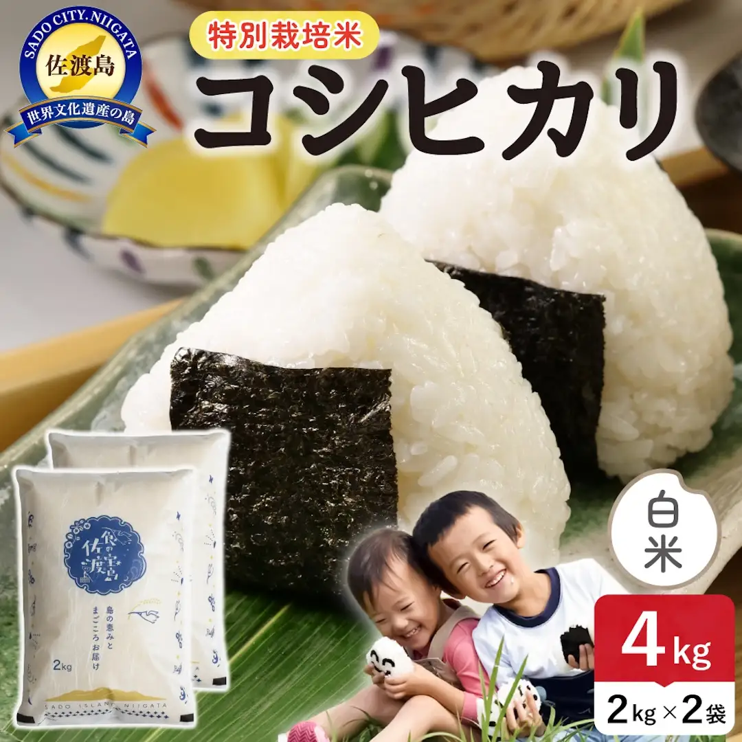 令和8年産 佐渡島産コシヒカリ 白米4kg 特別栽培米 195962-121202