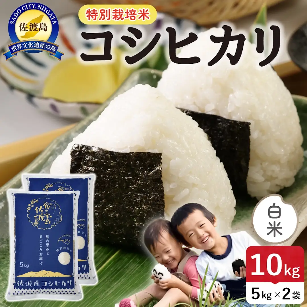 令和8年産 佐渡島産コシヒカリ 白米10kg 特別栽培米 195962-121402