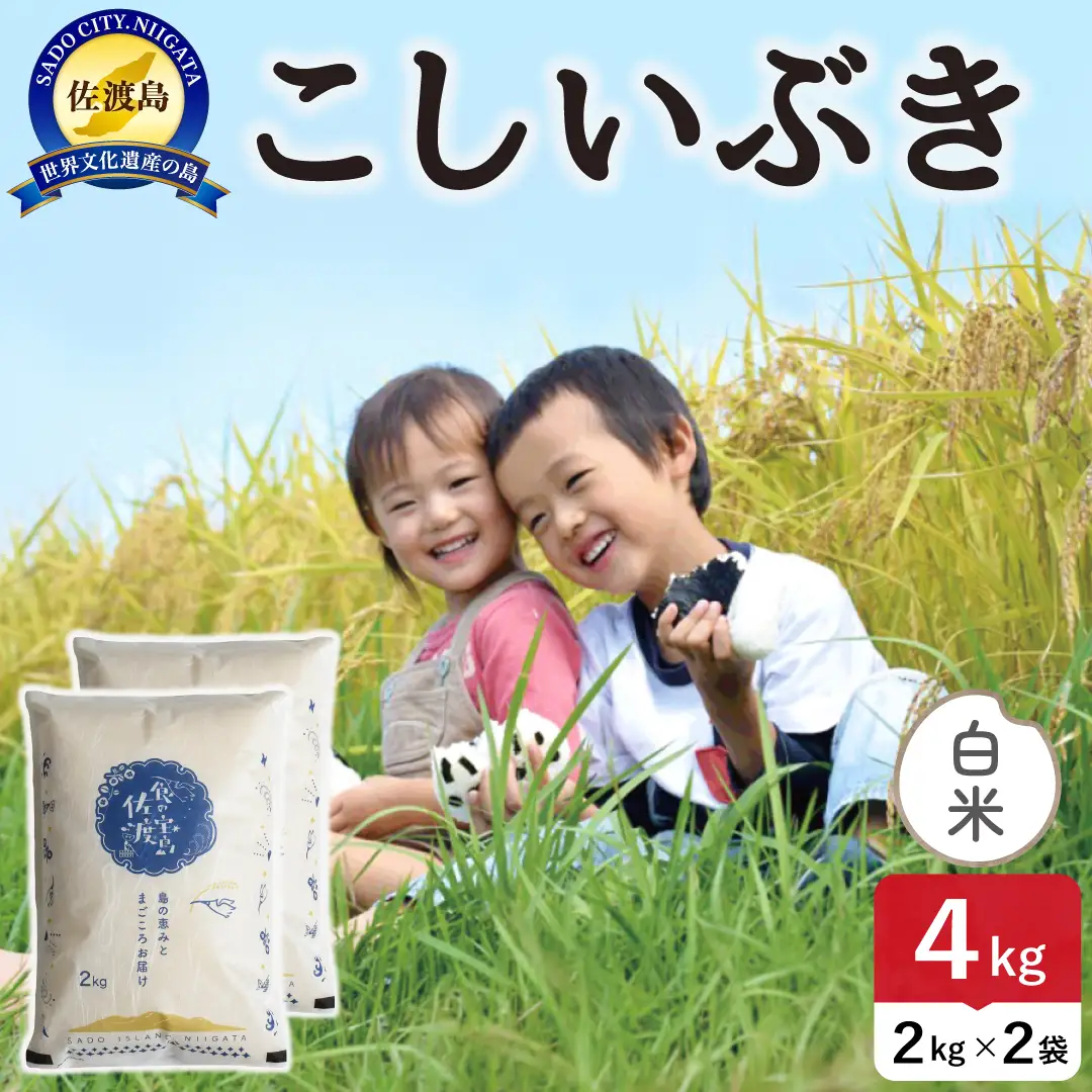 令和8年産 佐渡島産こしいぶき 白米4kg 195962-151202