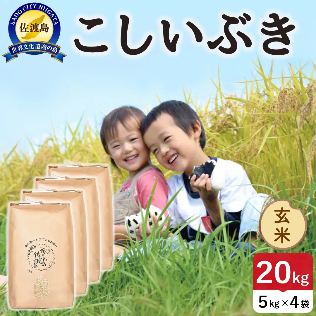令和8年産 佐渡島産こしいぶき 玄米20kg 195962-154602