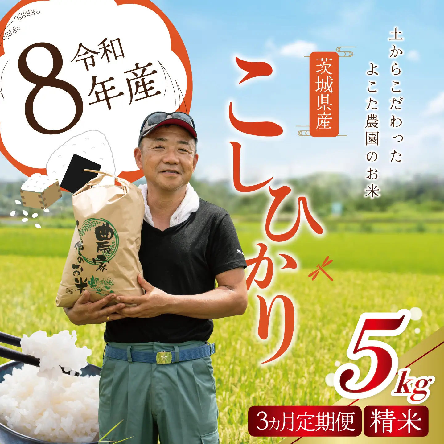 【3回定期便】令和8年産 コシヒカリ 精米 5kg 新米 こしひかり