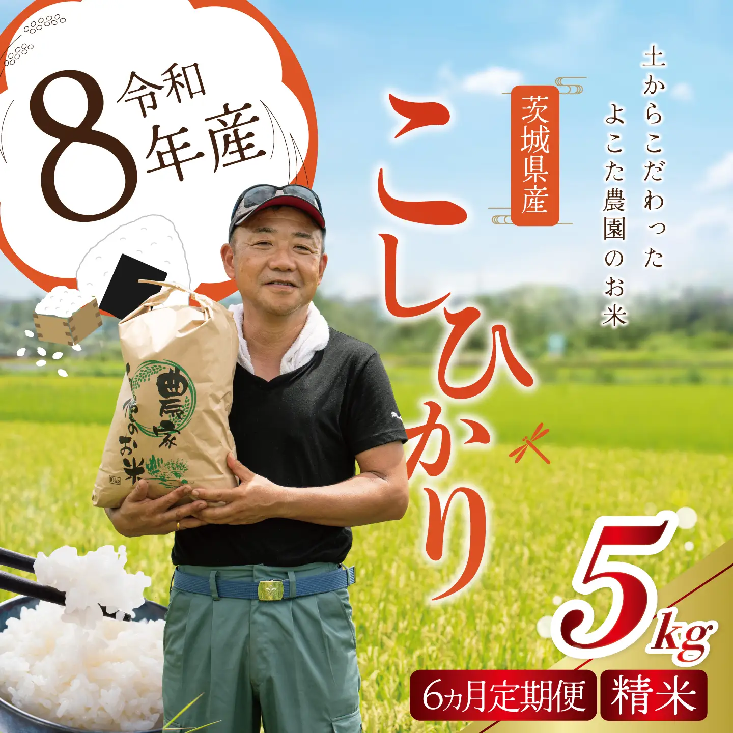 【6回定期便】令和8年産 コシヒカリ 精米 5kg 新米 こしひかり