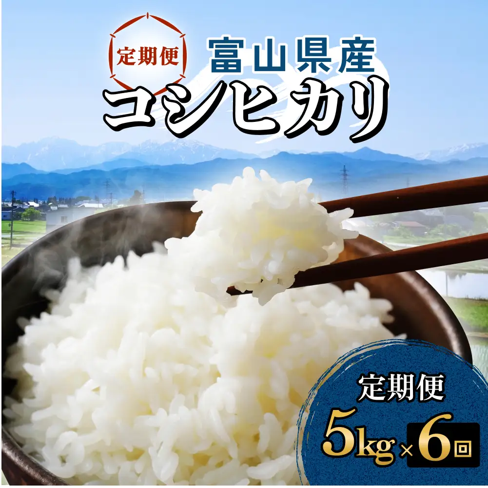 【6回定期便】富山県産 コシヒカリ 5kg  富山県 氷見市 米 コシヒカリ
