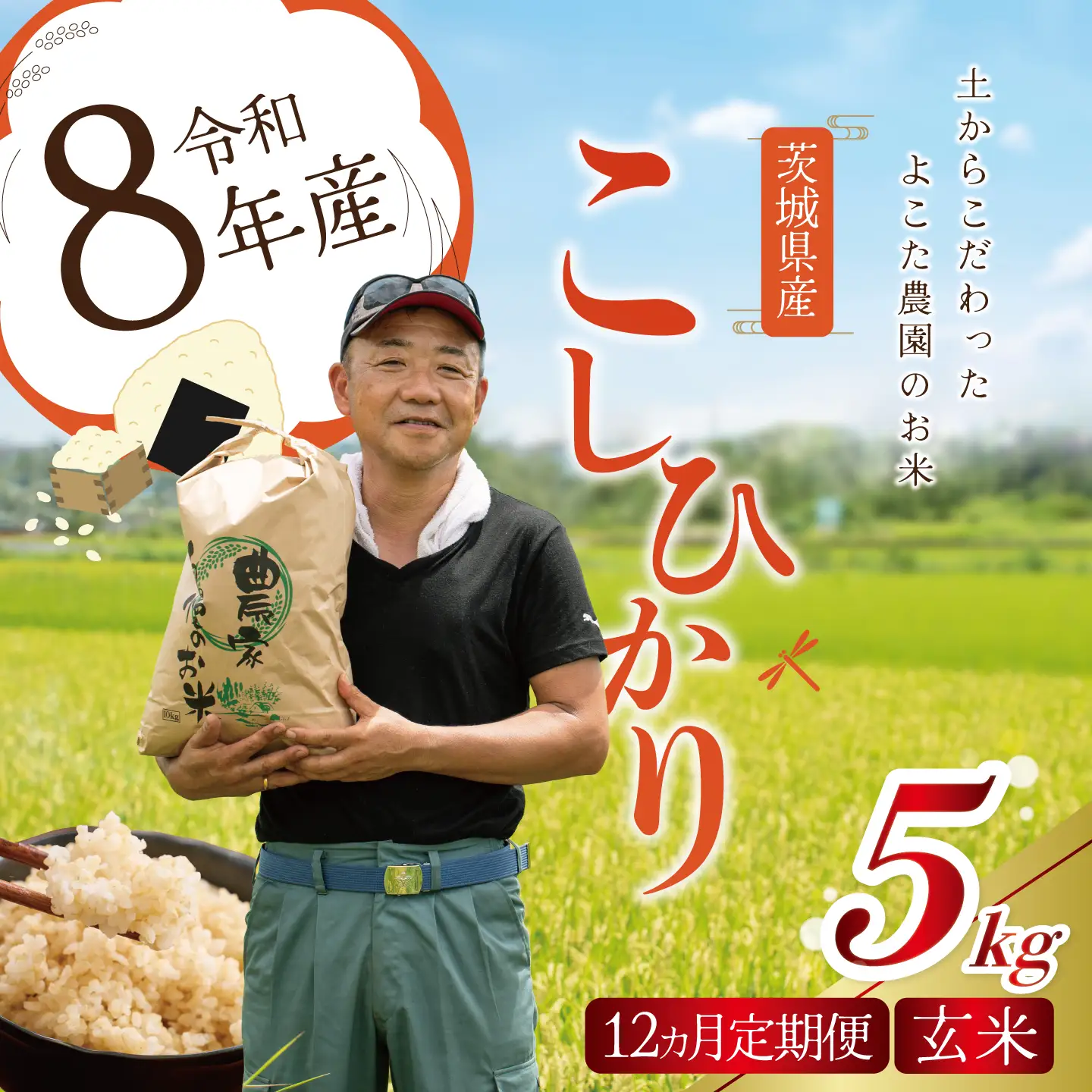 【12回定期便】令和8年産 コシヒカリ 玄米 5kg 新米 こしひかり