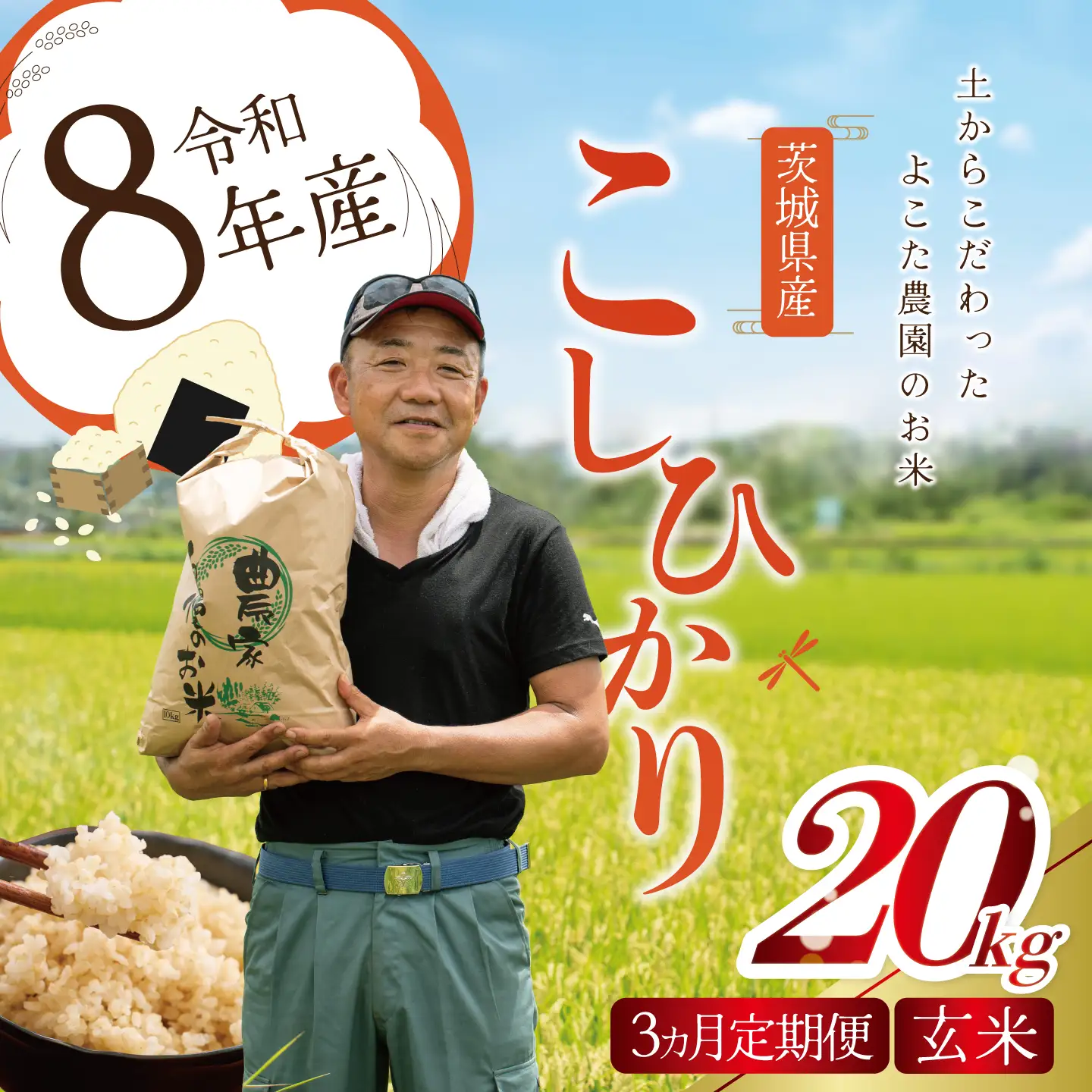 【3回定期便】令和8年産 コシヒカリ 玄米 20kg 新米 こしひかり