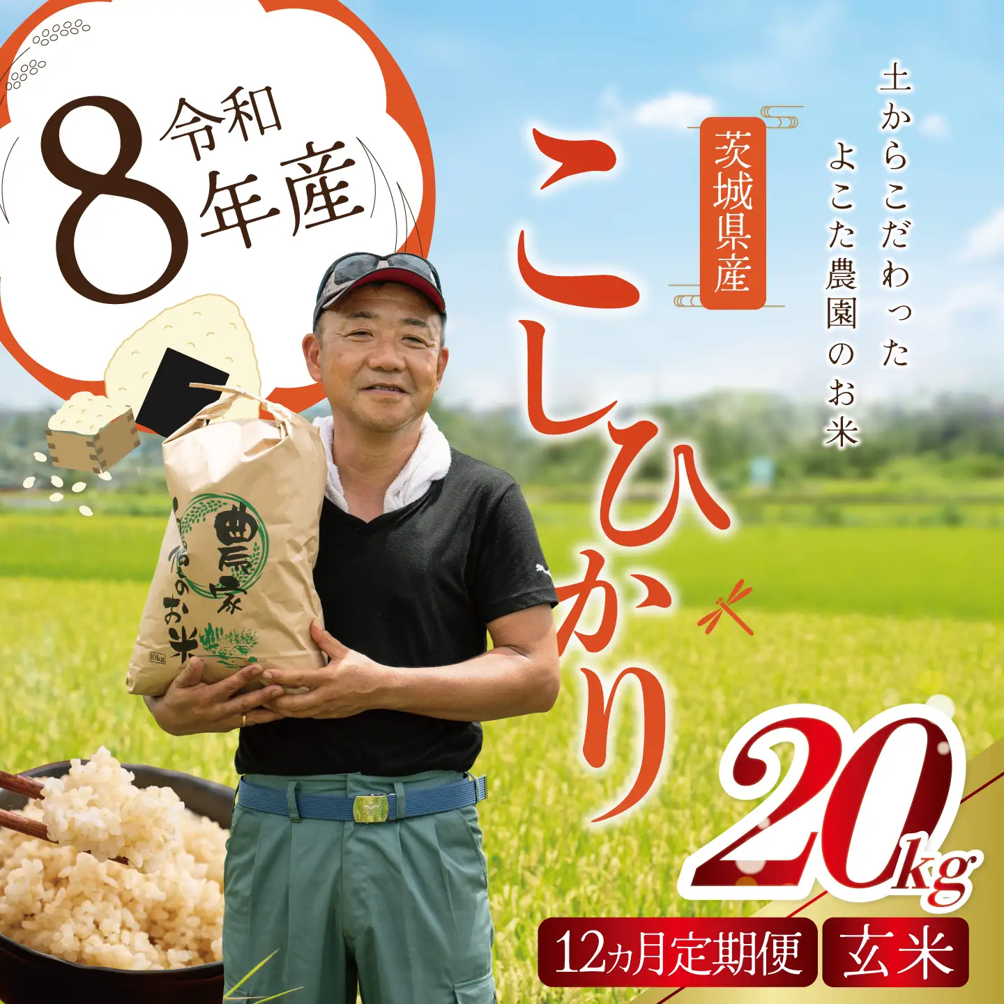 【12回定期便】令和8年産 コシヒカリ 玄米 20kg 新米 こしひかり