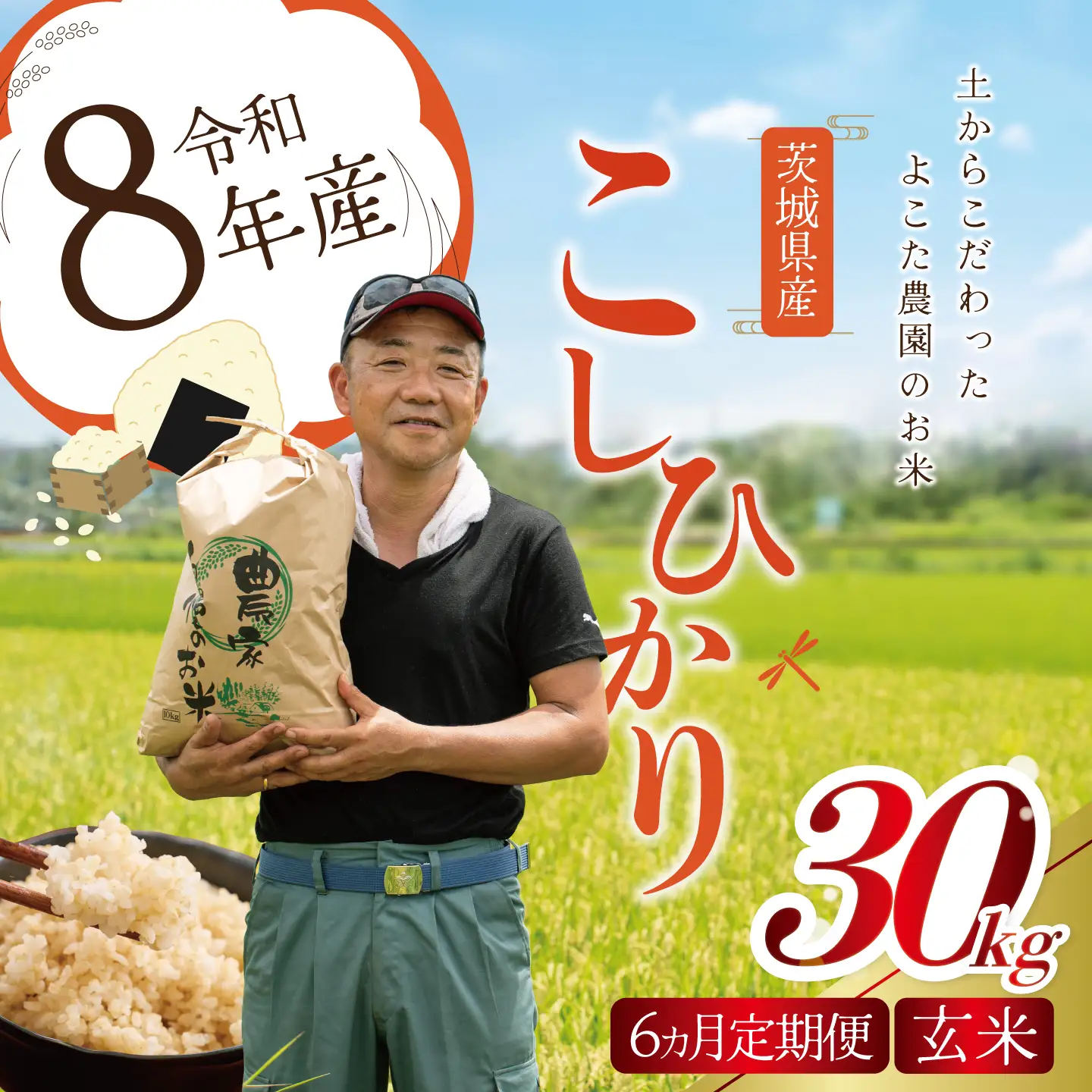 【6回定期便】令和8年産 コシヒカリ 玄米 30kg 新米 こしひかり
