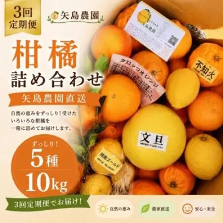 【発送月固定定期便】1～3月季節の柑橘詰め合わせ10kg(3回定期便)毎月違う楽しい柑橘BOX全3回【4091074】