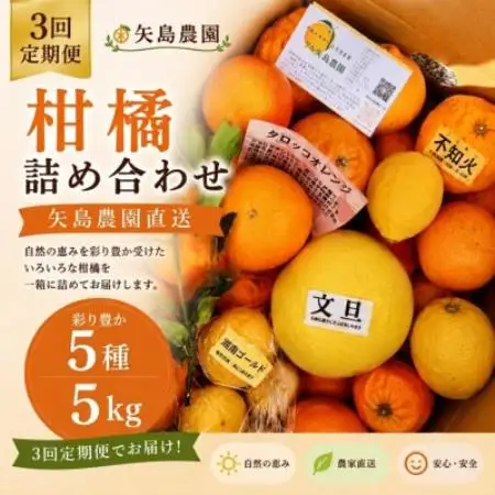 【発送月固定定期便】1～3月の季節の柑橘詰め合わせ5kg(3回定期便)毎月違う楽しい柑橘BOX全3回【4091082】