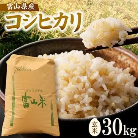 令和8年産「コシヒカリ」玄米30kg×1袋【1772369】 | 富山県小矢部市