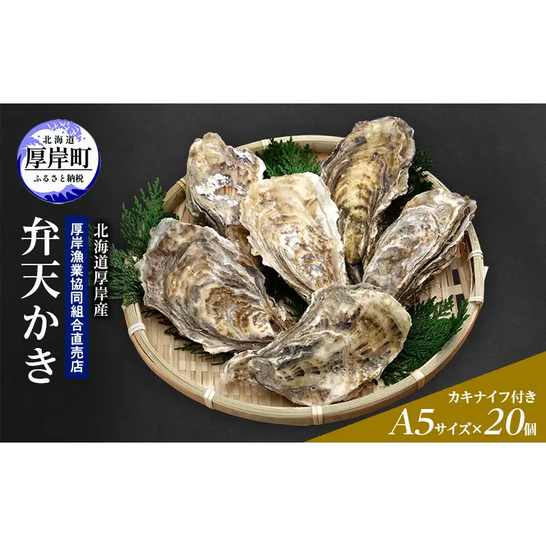 【2月から3月配送】北海道 厚岸産 殻かき 新ブランド弁天かき A5サイズ 特大サイズ 20個 牡蠣 魚貝類 生牡蠣 殻付き牡蠣 カキ
