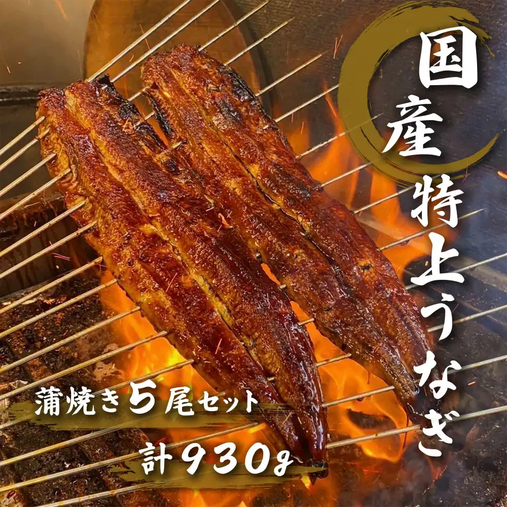 名古屋の老舗卸直営！手焼き国産鰻蒲焼き５尾セット計930g