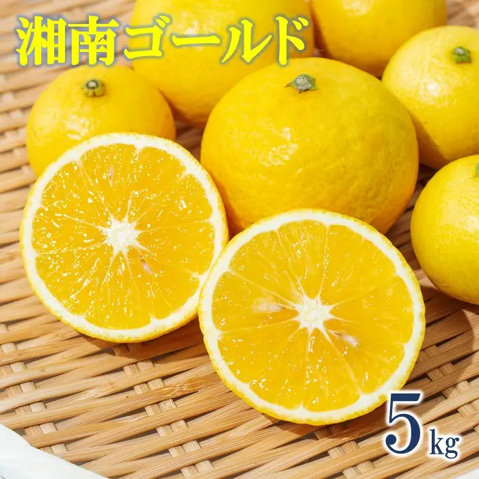 先行予約】湘南ゴールド5kg【2027年3月上旬ごろより発送開始