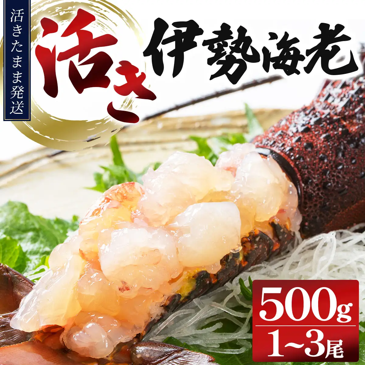 【先行予約】【期間限定】活き伊勢海老 500gセット（1～3尾）生きた伊勢海老　初物　朝どれ　縁起物　エビ　