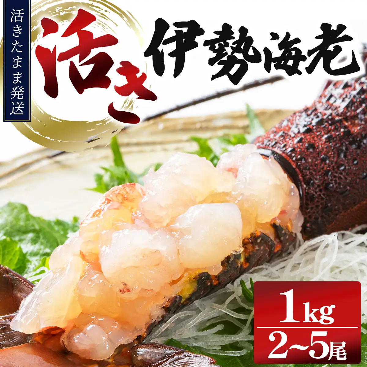 【先行予約】【期間限定】活き伊勢海老 1000gセット（2～5尾）生きた伊勢海老　初物　朝どれ　縁起物　エビ　