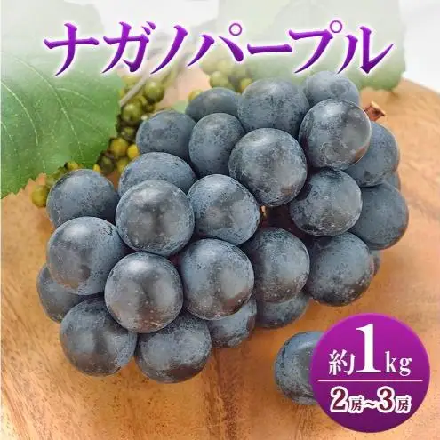 ナガノパープル 約1kg 2房～3房 ぶどう ブドウ 葡萄 ナガノパープル 種なし 果物 くだもの フルーツ 長野県 上田市 信州