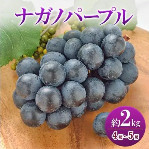 ナガノパープル 約2kg　4房～5房 ぶどう ブドウ 葡萄 ナガノパープル 種なし 果物 くだもの フルーツ 長野県 上田市 信州