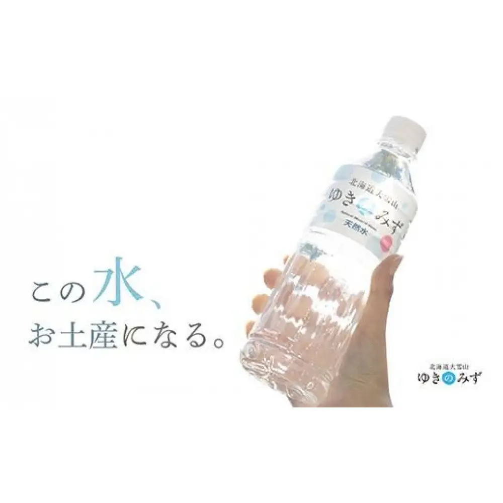 北海道大雪山ゆきのみず（550ml×24本入り）　2箱【 水 ミネラルウォーター 北海道 大雪山 自然水 軟水 クリーンウォーター ミネラル豊富北海道産水】