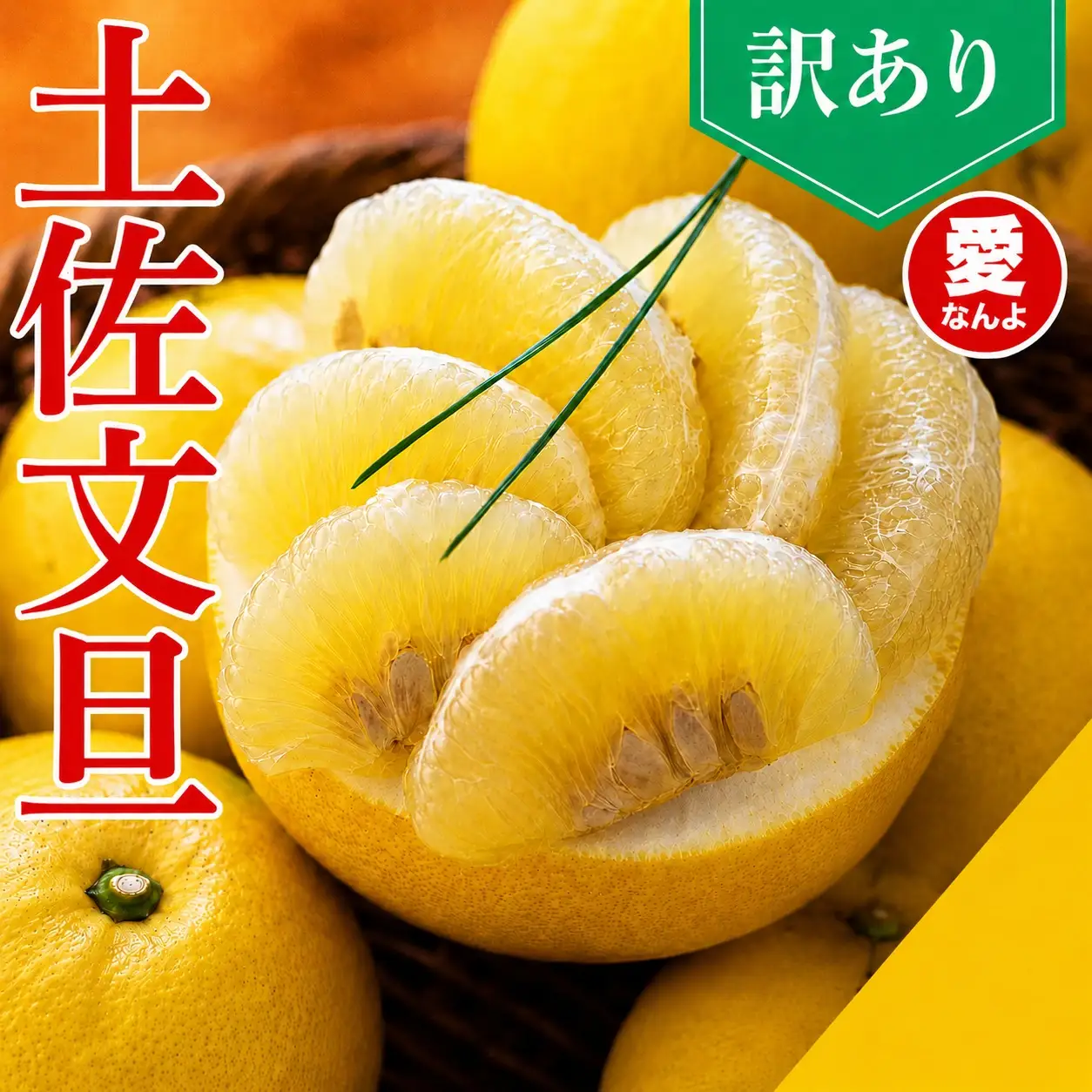 【先行予約】　土佐 文旦 5kg 訳あり 文旦 愛なんよ