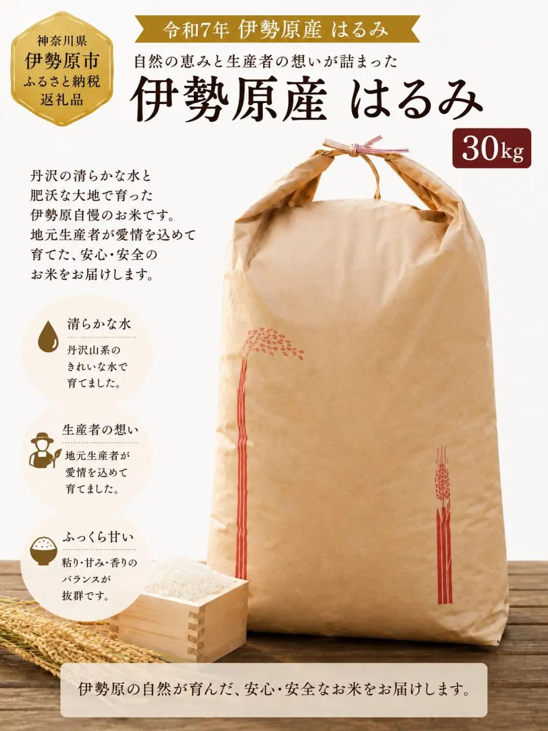 令和7年産 伊勢原の米「はるみ」玄米30kg [1326]