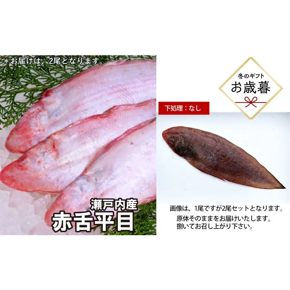 【お歳暮】【下処理なし】赤舌平目 2尾（1尾、約250g～300g）れんちょうがれい レンチョウ
