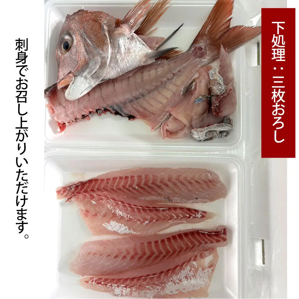 【お歳暮】【三枚おろし全て皮引きサク】活き締め真鯛1尾（約1kg）タイ たい 刺身 鍋