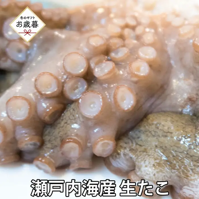【お歳暮】活き締め真たこ1ぱい約1kg　レシピ付き 蛸 生 刺身