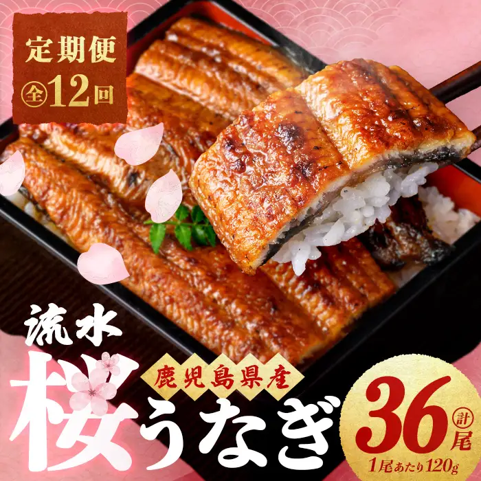 【ふるなび限定】 【定期便・全12回】流水桜うなぎ定期便 計4.3kg超（120g×3尾×12ヶ月） FN-Limited-SP t0168-002