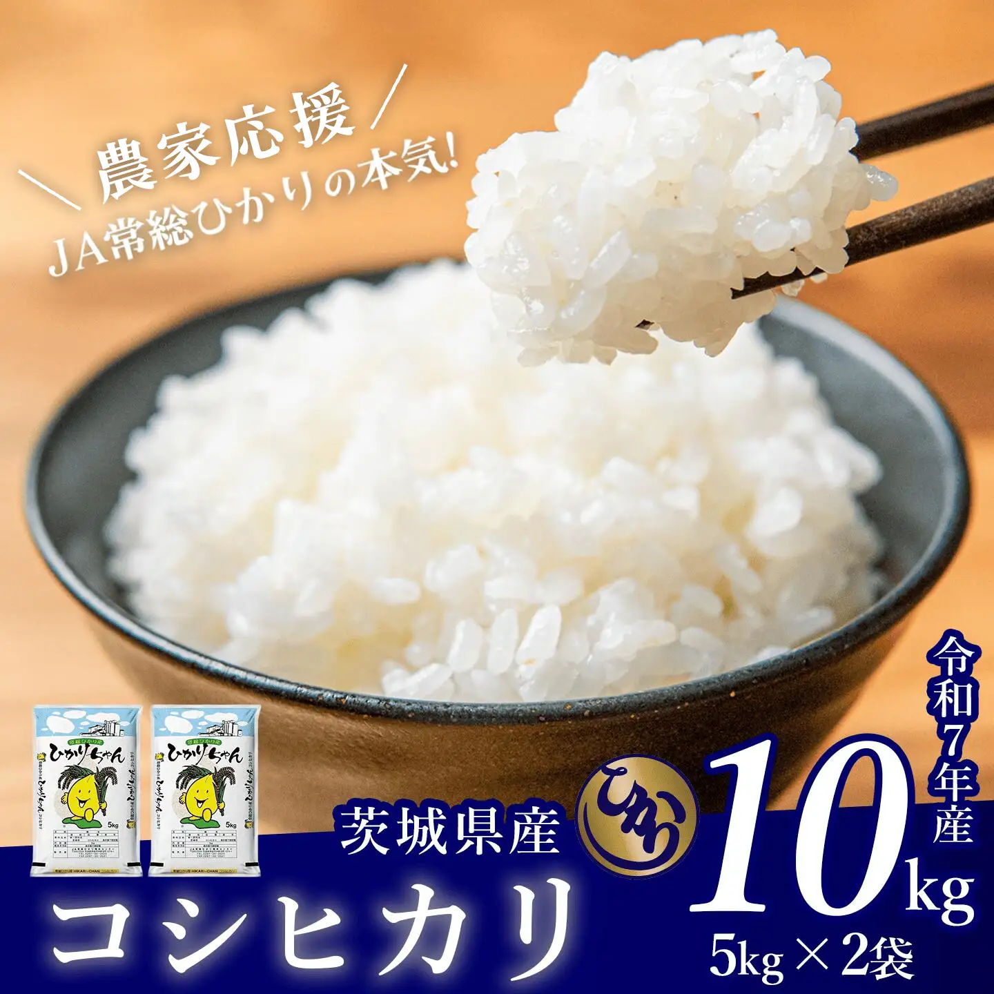 米 精米 R7年産 コシヒカリ 10kg 3月