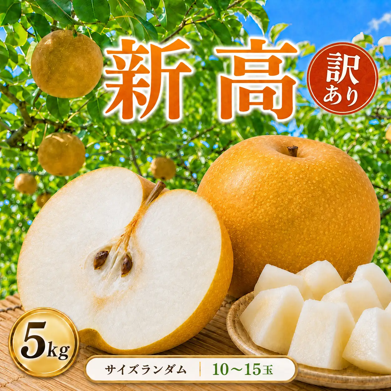 【2026年先行予約】 訳あり! サイズランダム 新高 約5kg 梨