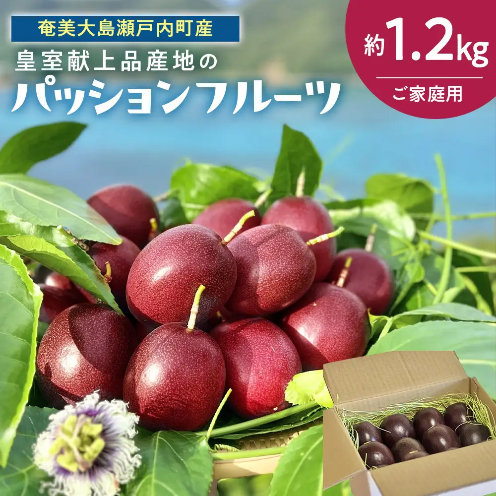 27年産先行予約 パッションフルーツ ご家庭用  約1.2kg