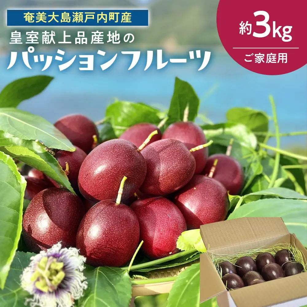 27年産先行予約 パッションフルーツ 約3kg ご家庭用