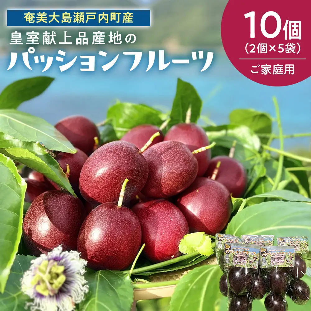 27年産先行予約 パッションフルーツ 10個(2個×5袋)