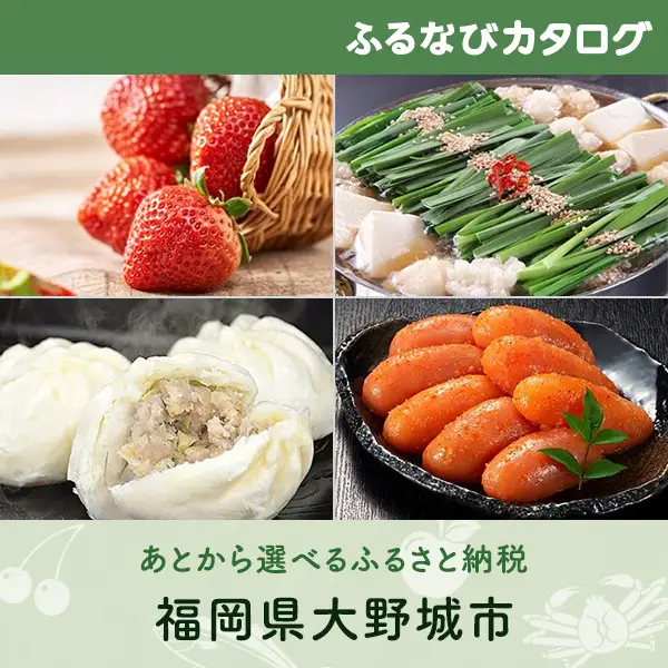 【有効期限なし！後からゆっくり特産品を選べる】福岡県大野城市カタログポイント