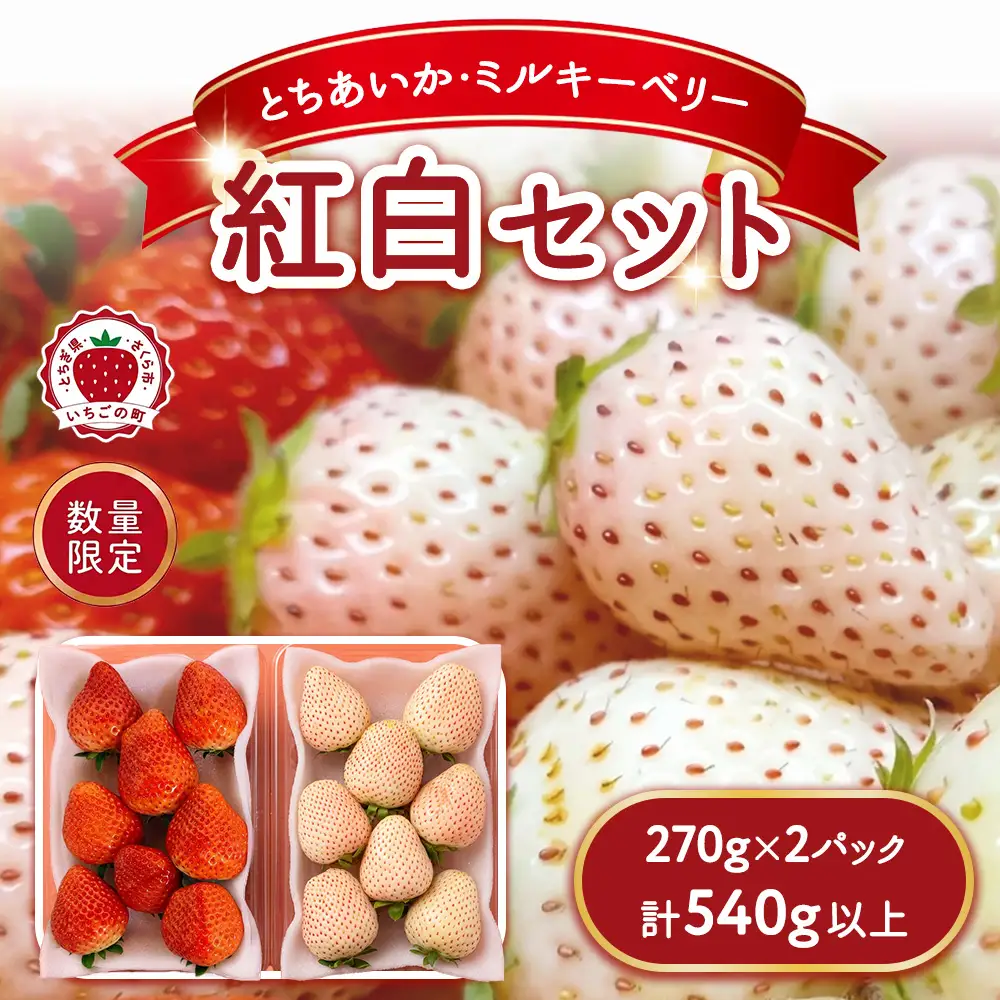《数量限定》紅白セット（とちあいか・ミルキーベリー） 270g×2パック 540g以上 ｜いちご イチゴ 苺 先行予約 栃木県 果物 くだもの フルーツ デザート とちあいか ミルキーベリー 新鮮 贈答 ギフト 食べ比べ ※2027年1月～発送