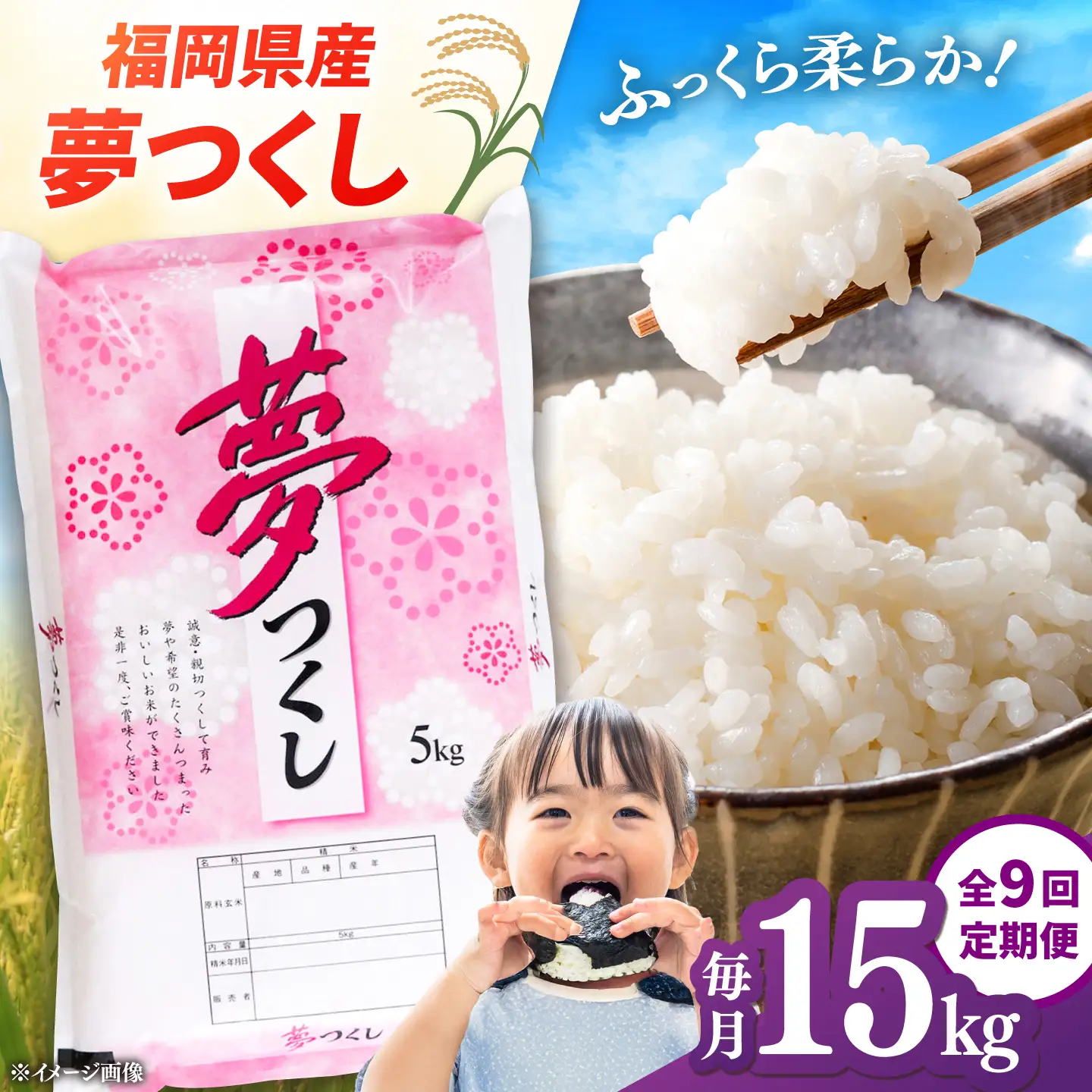 全9回定期便】【令和8年度産】福岡県産米 夢つくし 15kg(5kg×3袋) 精米