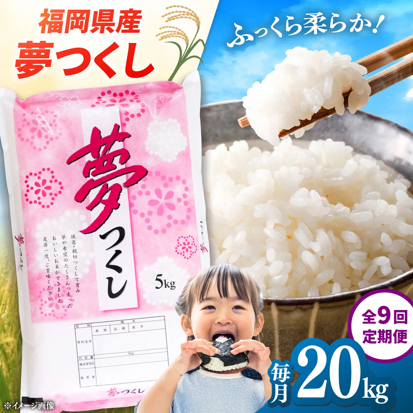 【全9回定期便】【令和8年度産】福岡県産米 夢つくし 20kg (5kg×4袋) 精米 桂川町/有限会社ファインリョーコク[ADCE030]