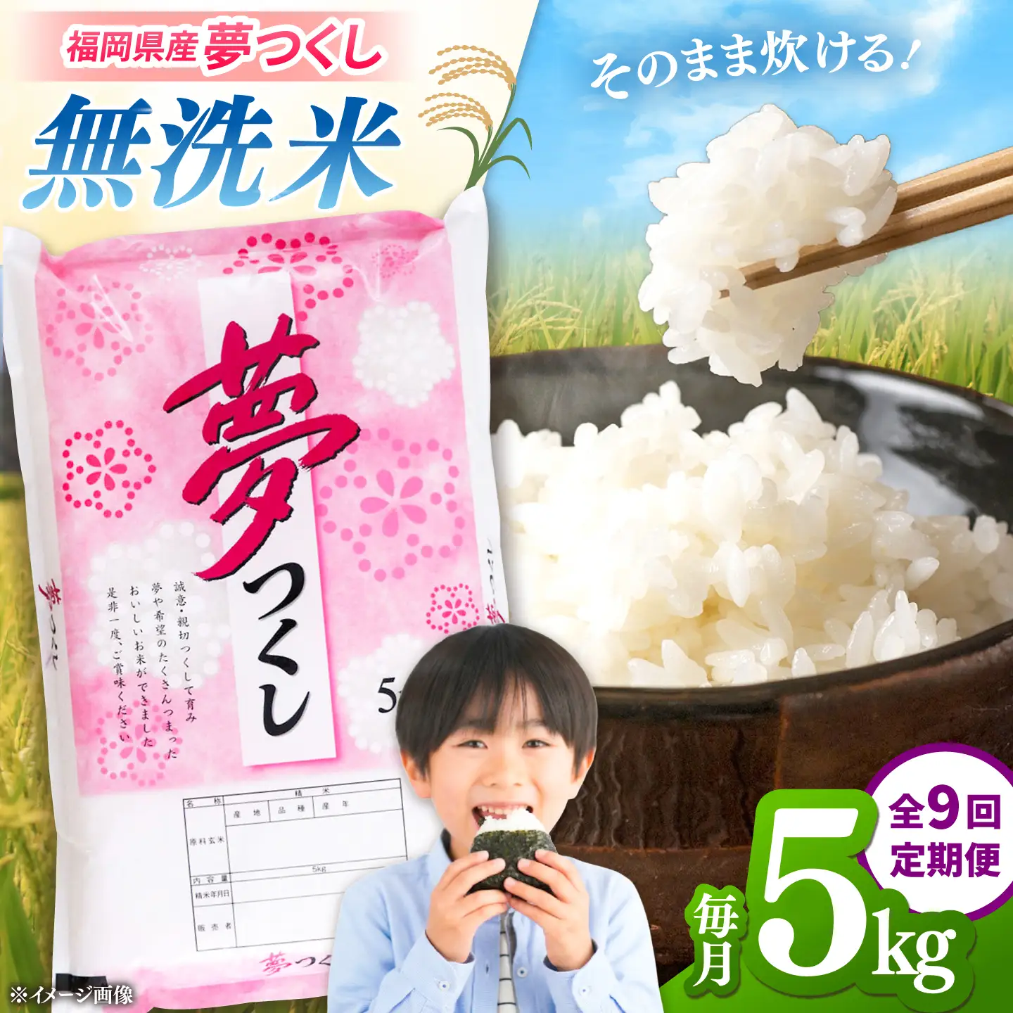 全9回定期便】 【令和8年度産】無洗米 夢つくし 5kg 精米 有限会社