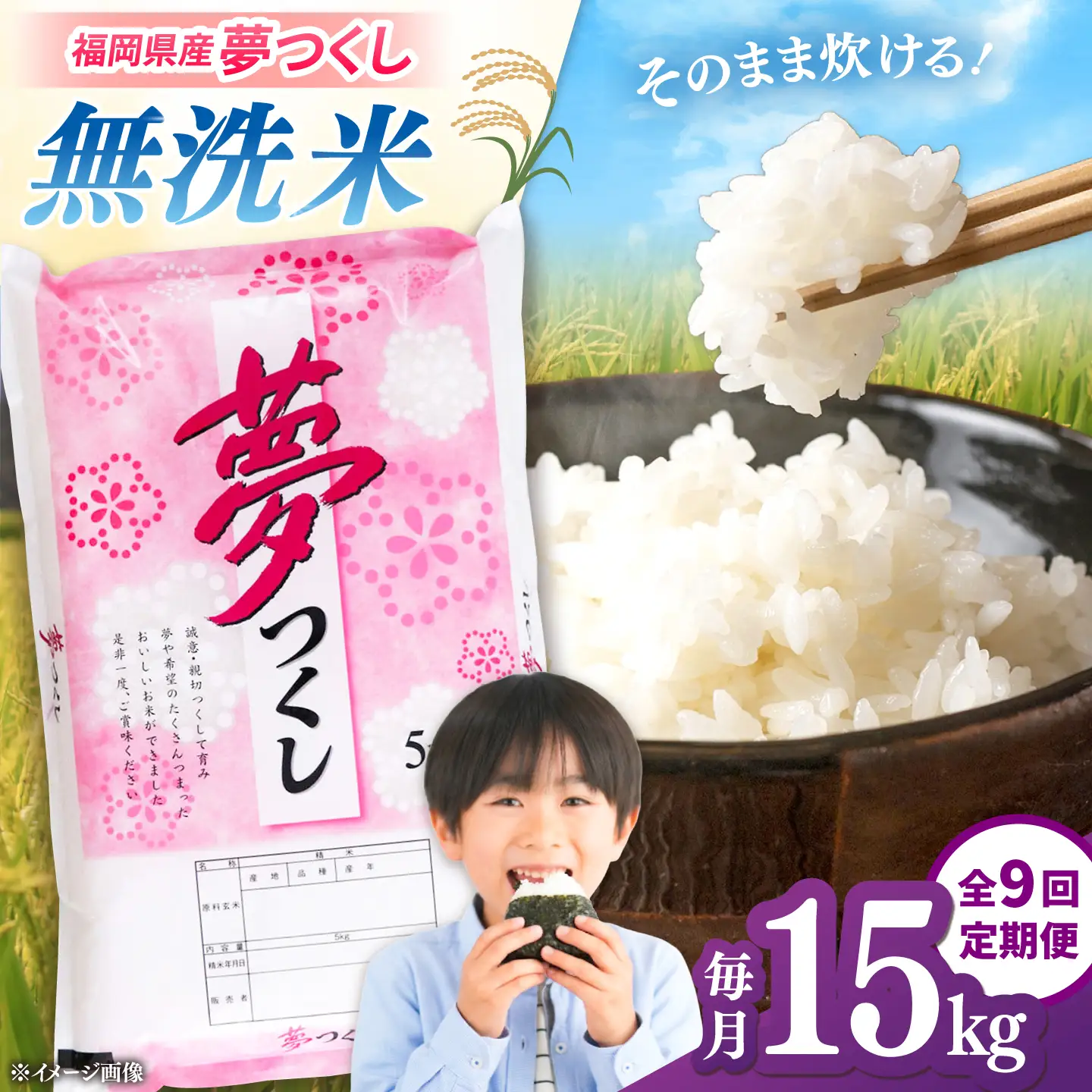 全9回定期便】 【令和8年度産】無洗米 夢つくし 15kg 精米 有限会社