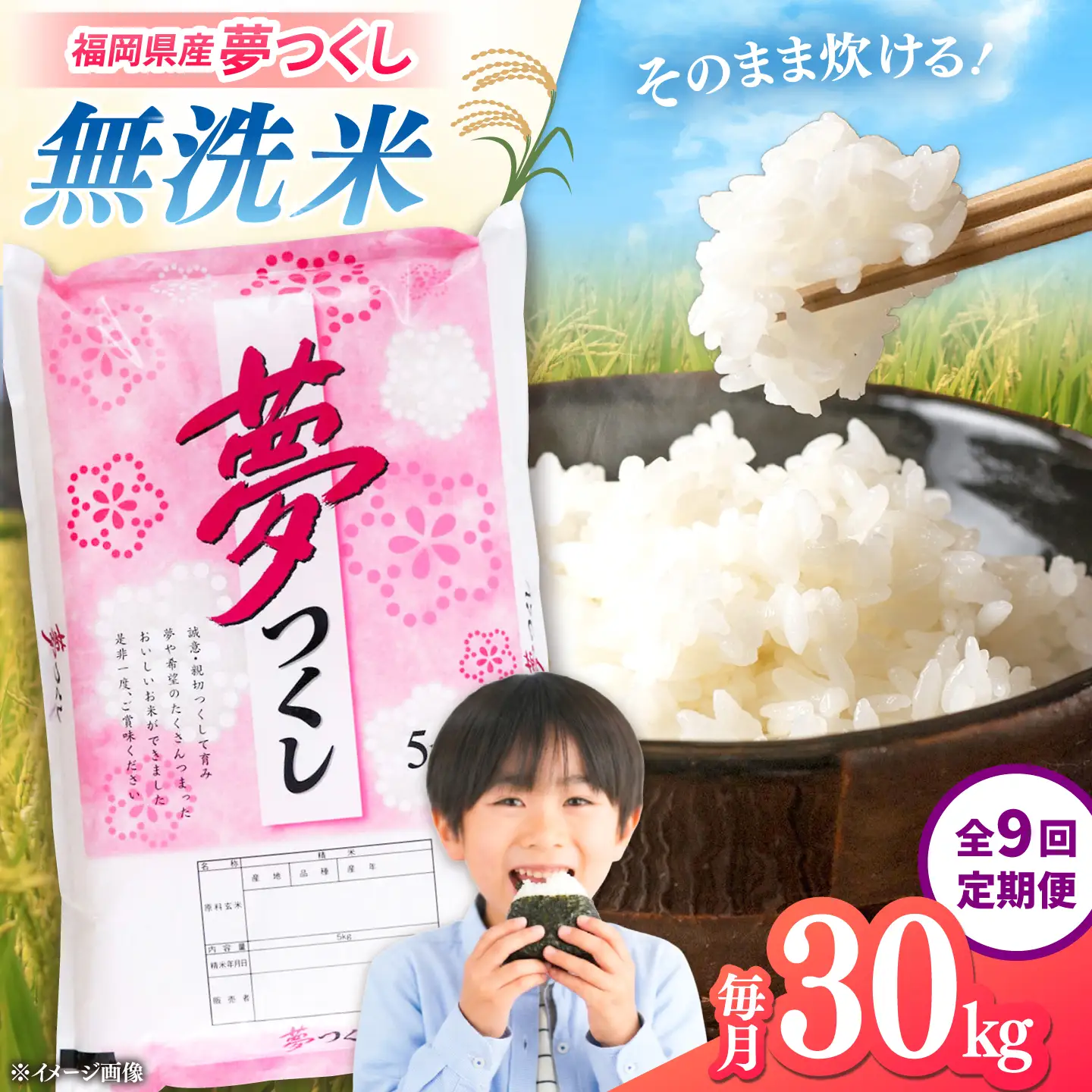 無洗米 白米 30キロ 送料込 精米済 米30キロ 米30kg ① 無洗米白米 30
