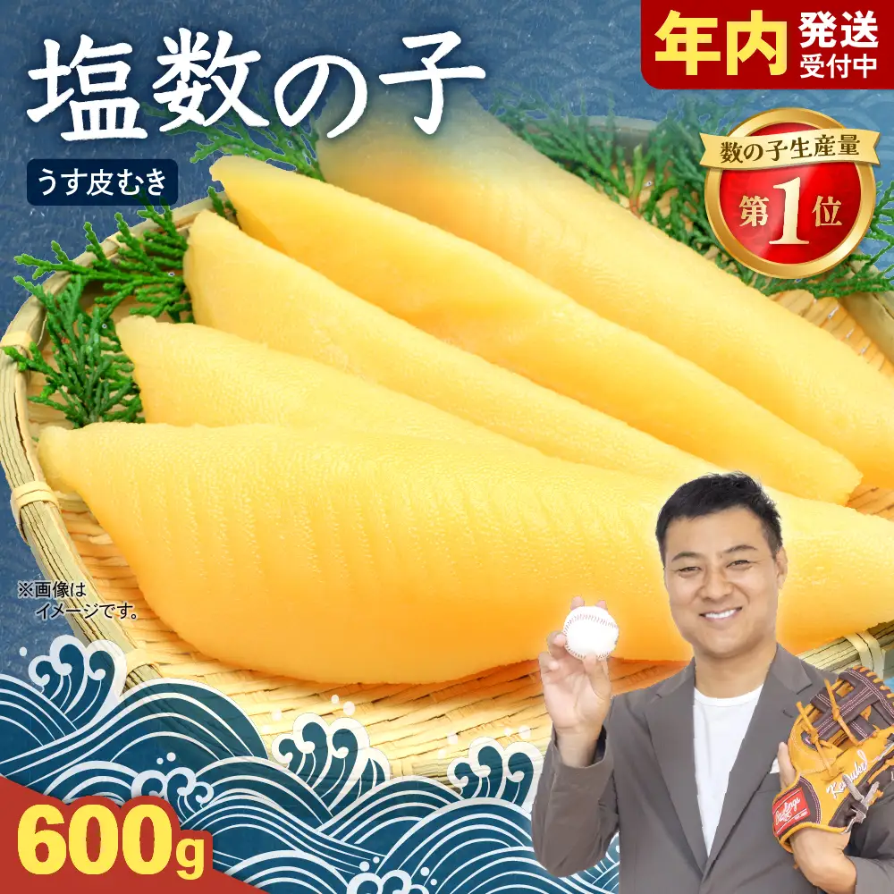 〈12月配送〉塩数の子【うす皮むき】600g 1本物（大サイズ）かずのこ カズノコ 【年内配送】