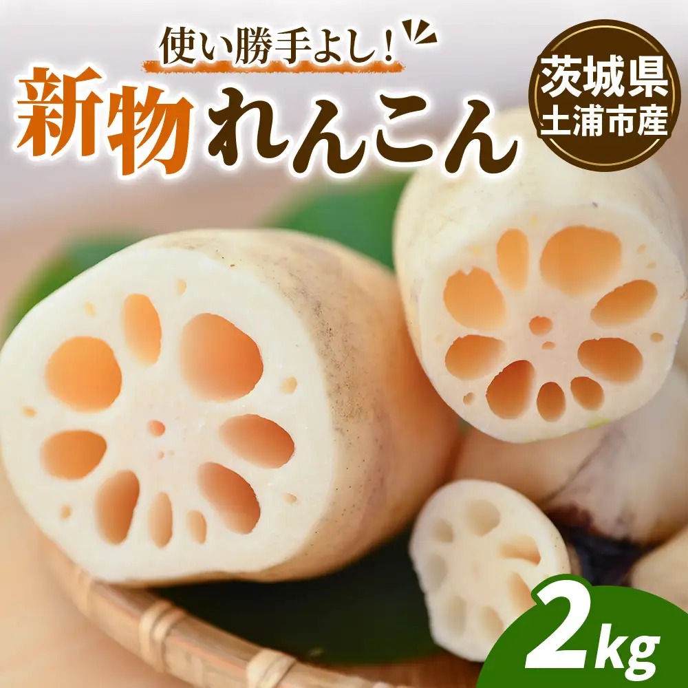 鈴木農園の新物れんこん ご家庭用・使い勝手よし 2kg 炒め物、サラダ、付け合わせに